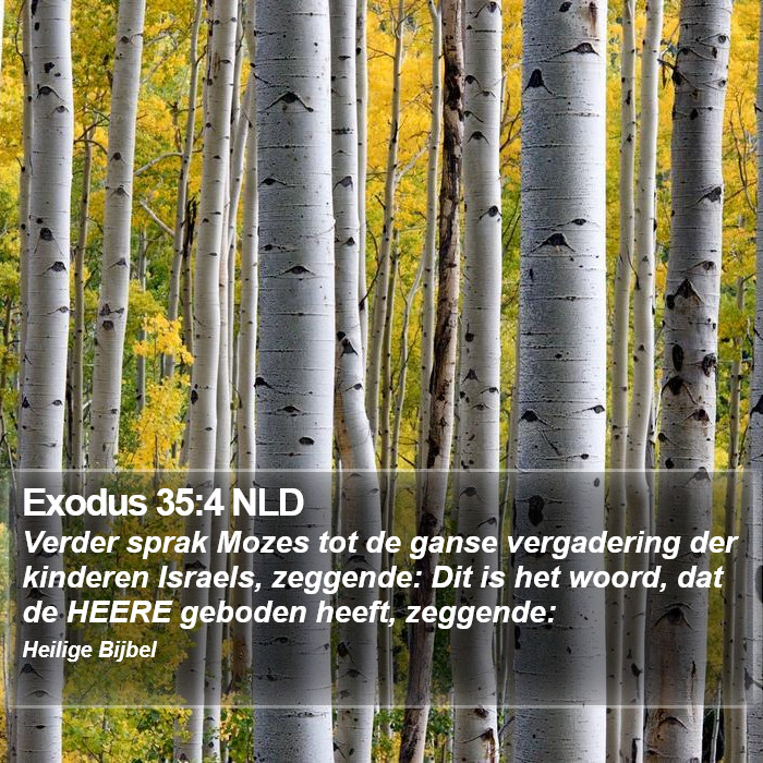 Exodus 35:4 NLD Bible Study