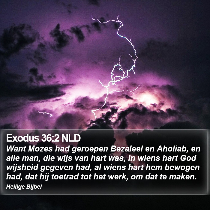 Exodus 36:2 NLD Bible Study