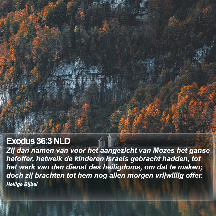 Exodus 36:3 NLD Bible Study