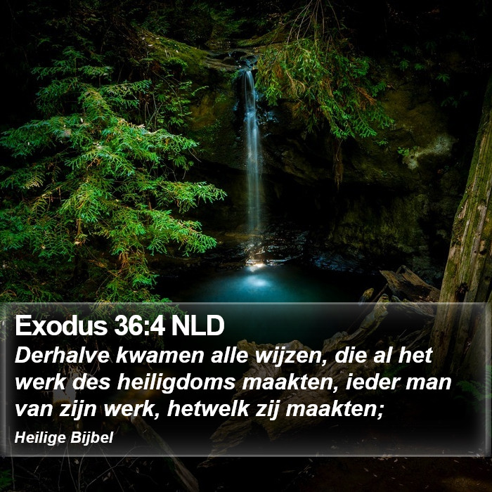 Exodus 36:4 NLD Bible Study