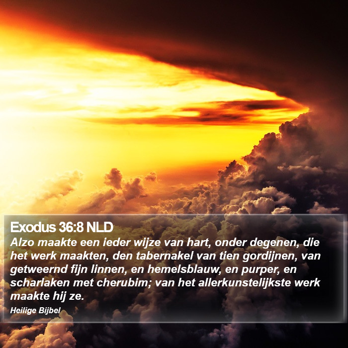 Exodus 36:8 NLD Bible Study