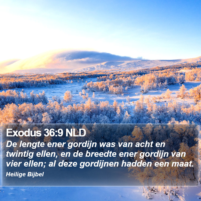 Exodus 36:9 NLD Bible Study