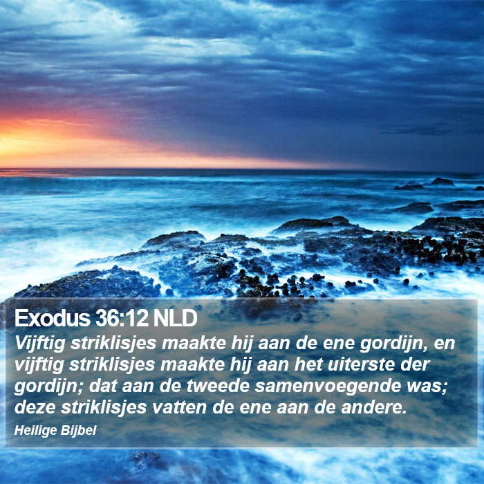 Exodus 36:12 NLD Bible Study