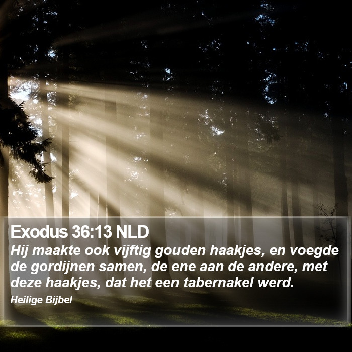 Exodus 36:13 NLD Bible Study