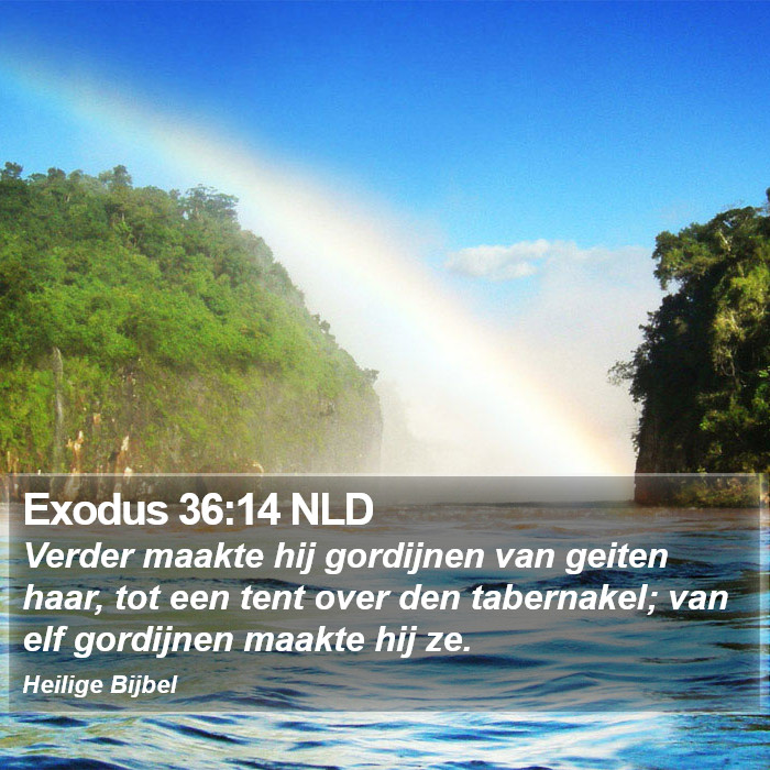 Exodus 36:14 NLD Bible Study