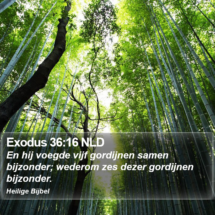 Exodus 36:16 NLD Bible Study