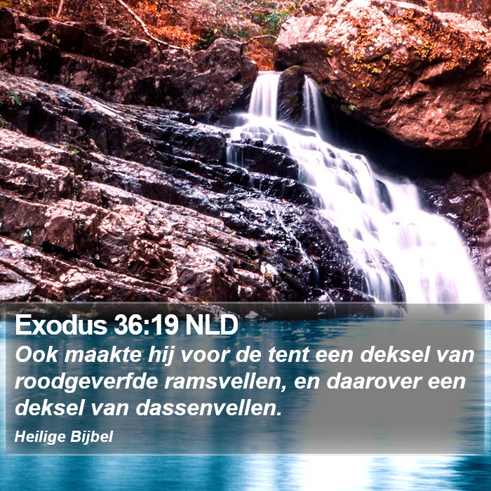 Exodus 36:19 NLD Bible Study