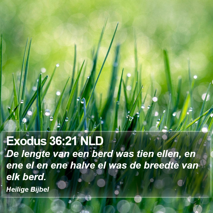 Exodus 36:21 NLD Bible Study