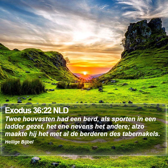 Exodus 36:22 NLD Bible Study