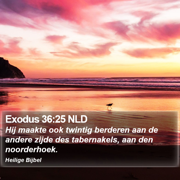 Exodus 36:25 NLD Bible Study