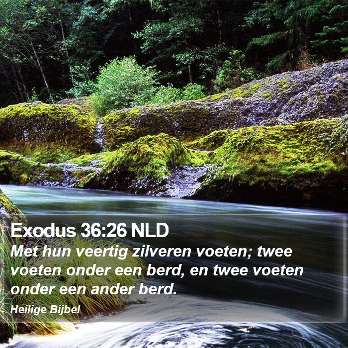 Exodus 36:26 NLD Bible Study