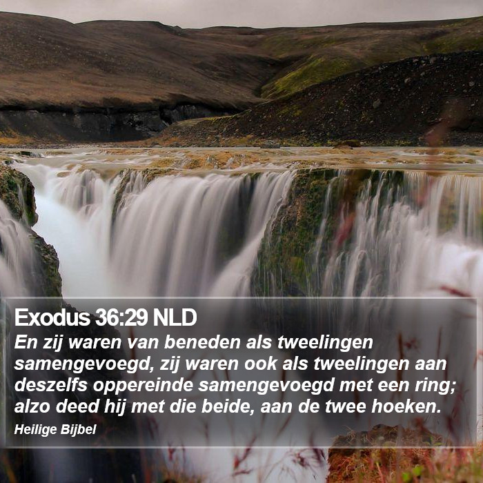 Exodus 36:29 NLD Bible Study