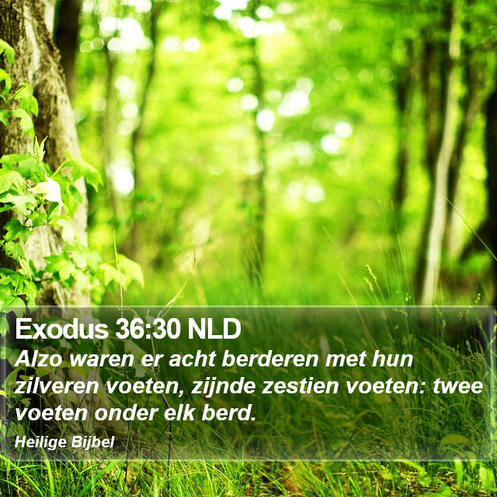 Exodus 36:30 NLD Bible Study