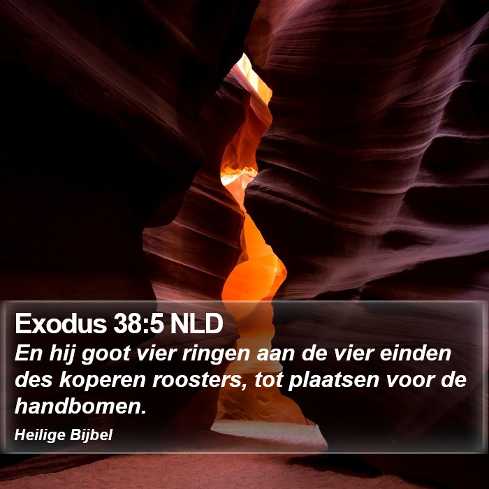 Exodus 38:5 NLD Bible Study