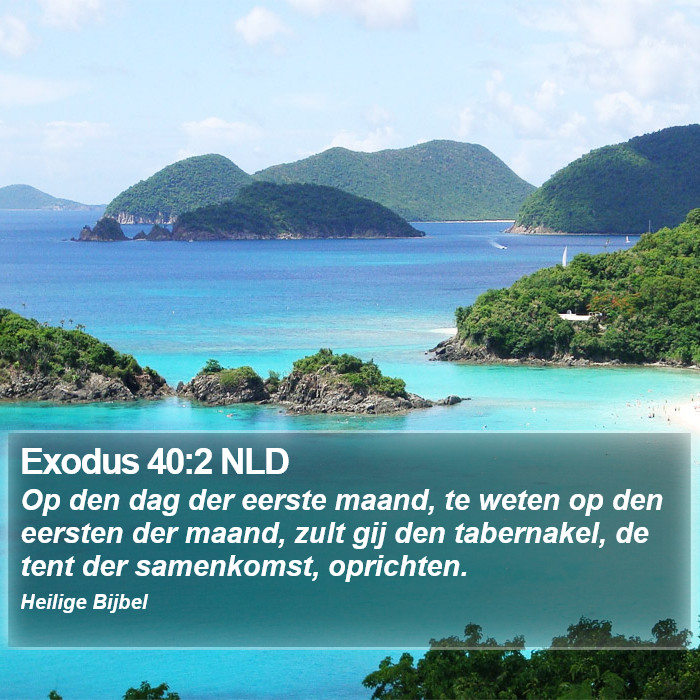 Exodus 40:2 NLD Bible Study