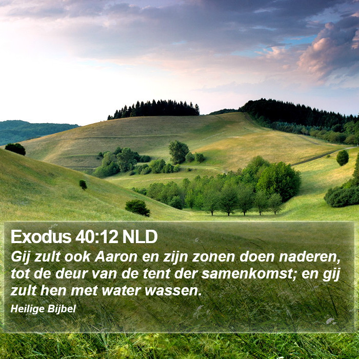Exodus 40:12 NLD Bible Study