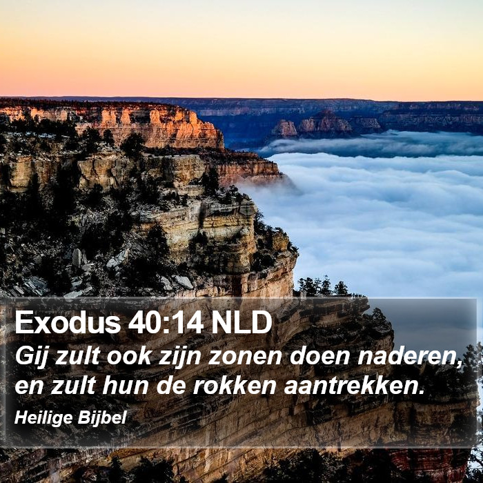 Exodus 40:14 NLD Bible Study