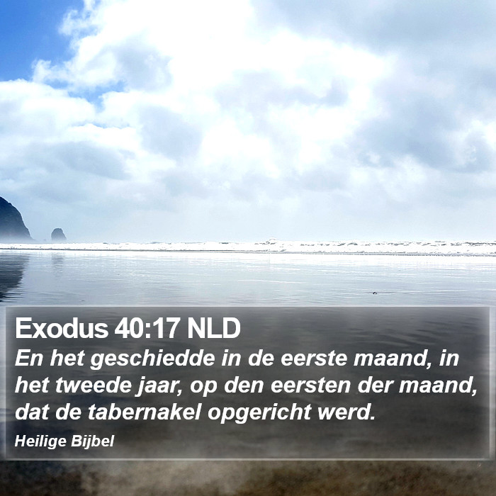 Exodus 40:17 NLD Bible Study