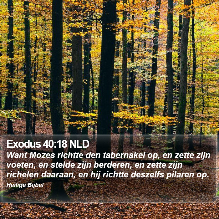Exodus 40:18 NLD Bible Study