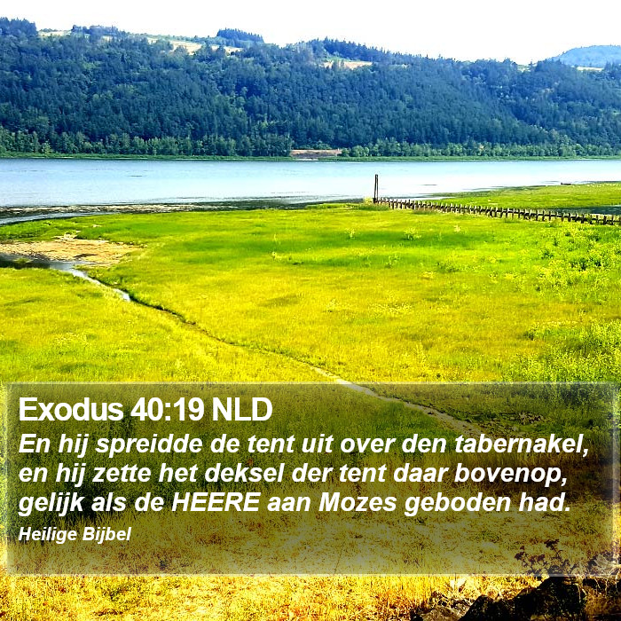 Exodus 40:19 NLD Bible Study