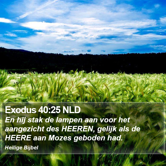 Exodus 40:25 NLD Bible Study