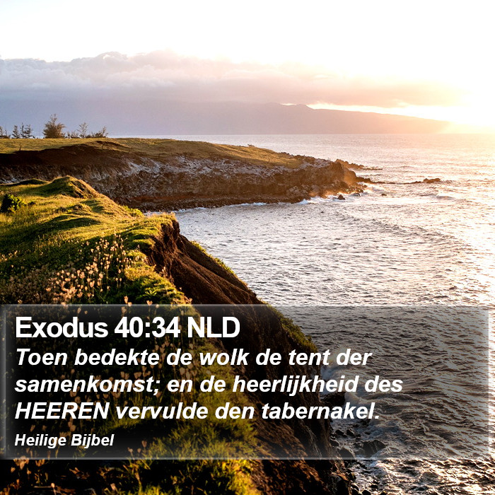 Exodus 40:34 NLD Bible Study