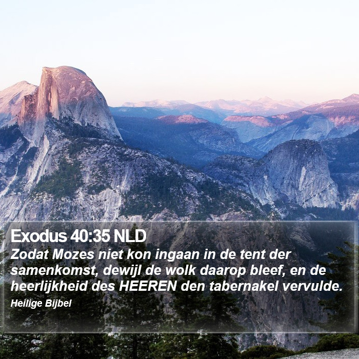Exodus 40:35 NLD Bible Study