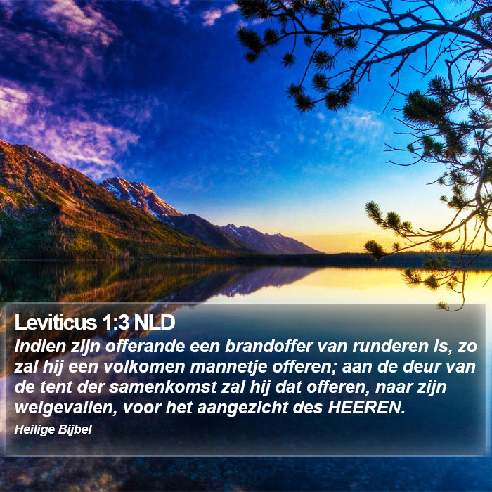 Leviticus 1:3 NLD Bible Study