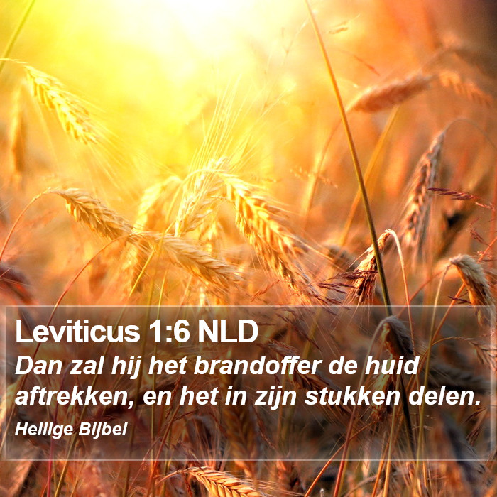 Leviticus 1:6 NLD Bible Study