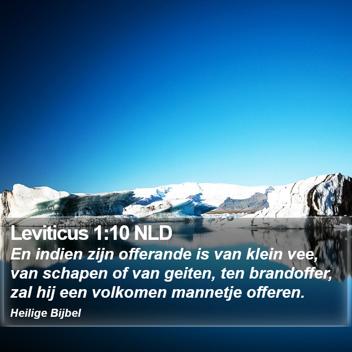 Leviticus 1:10 NLD Bible Study