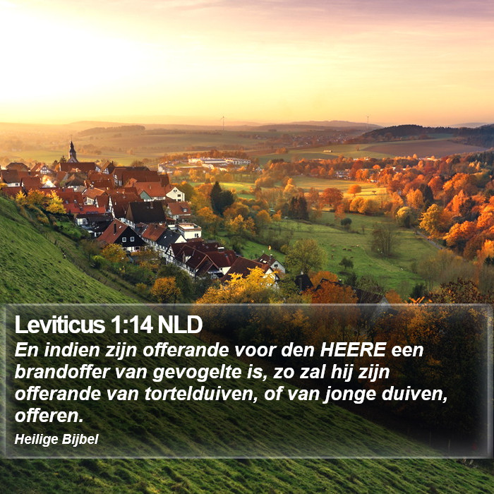 Leviticus 1:14 NLD Bible Study