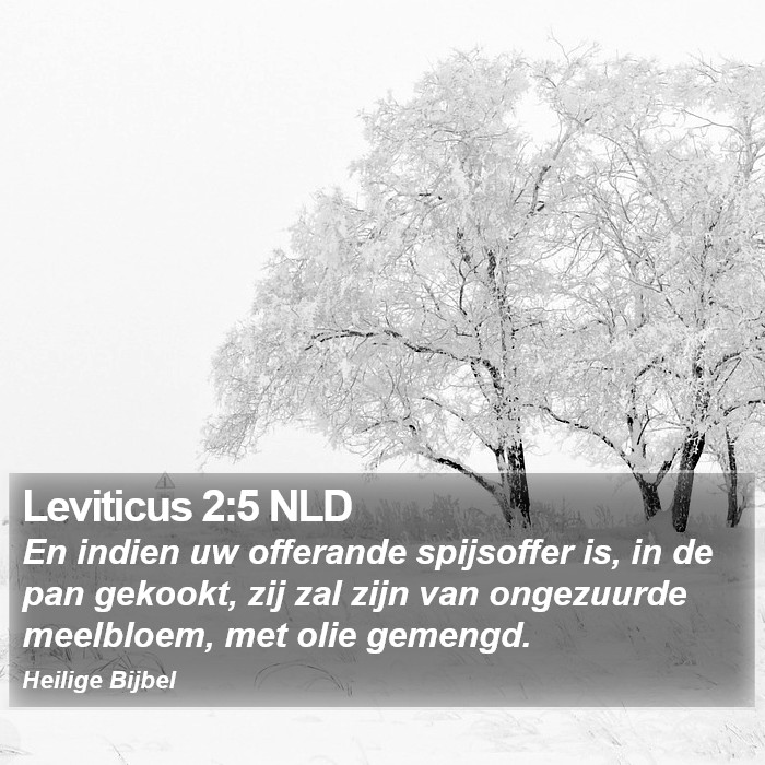 Leviticus 2:5 NLD Bible Study