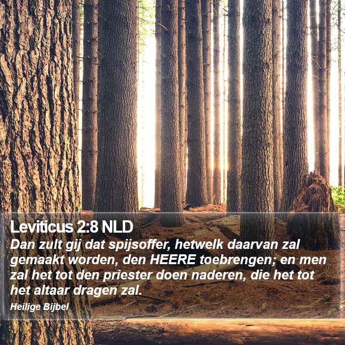 Leviticus 2:8 NLD Bible Study