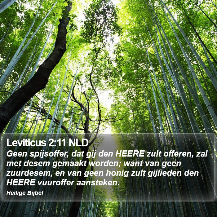 Leviticus 2:11 NLD Bible Study