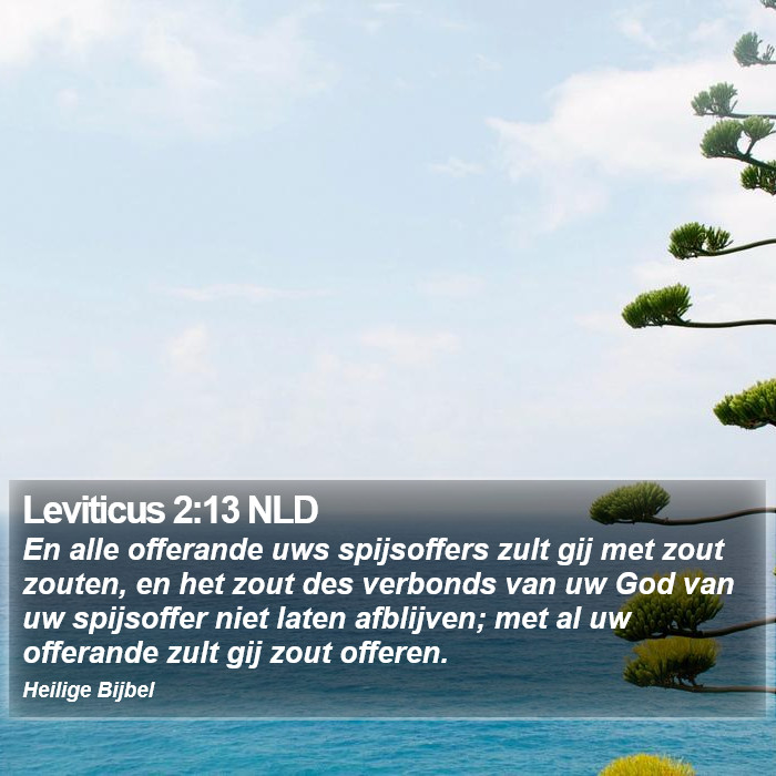 Leviticus 2:13 NLD Bible Study