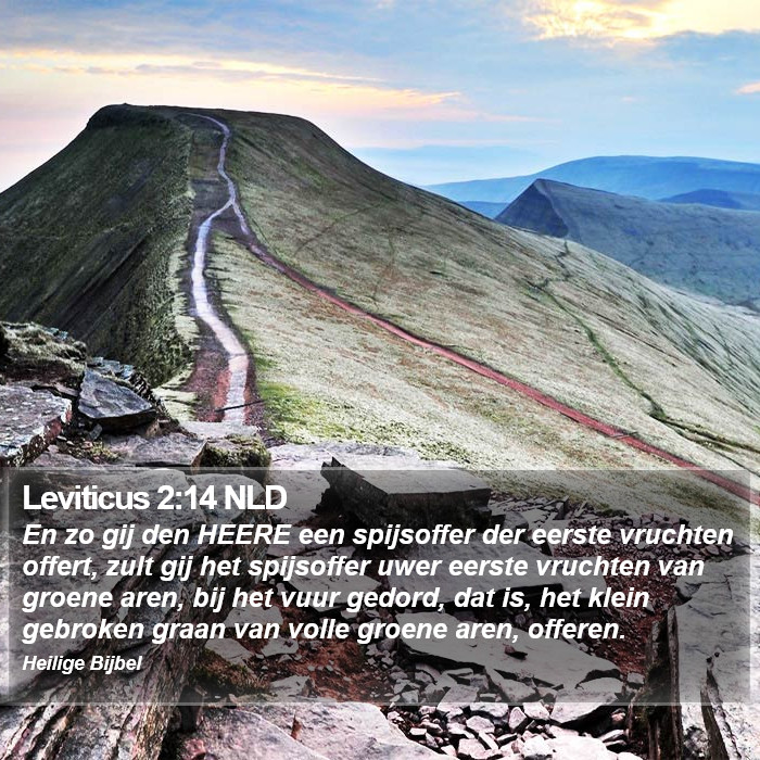 Leviticus 2:14 NLD Bible Study