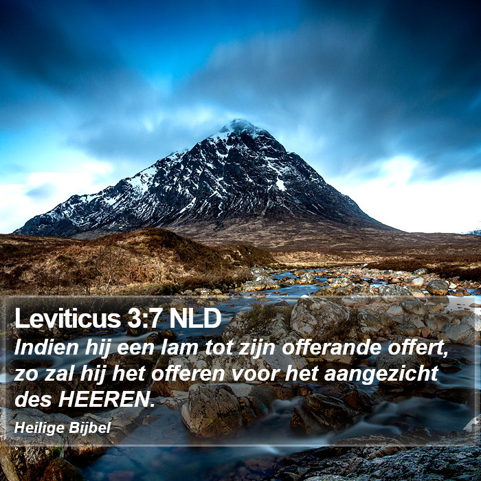 Leviticus 3:7 NLD Bible Study