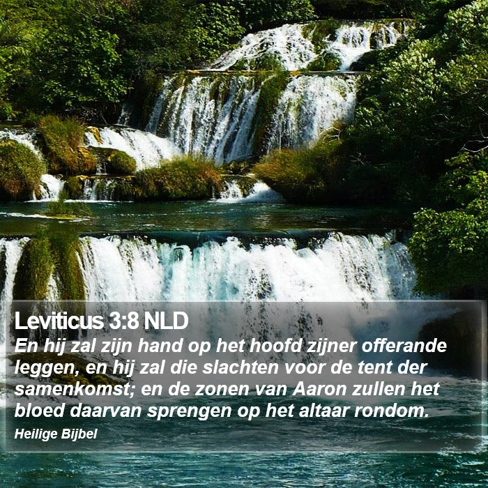 Leviticus 3:8 NLD Bible Study