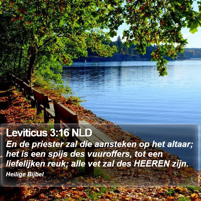 Leviticus 3:16 NLD Bible Study