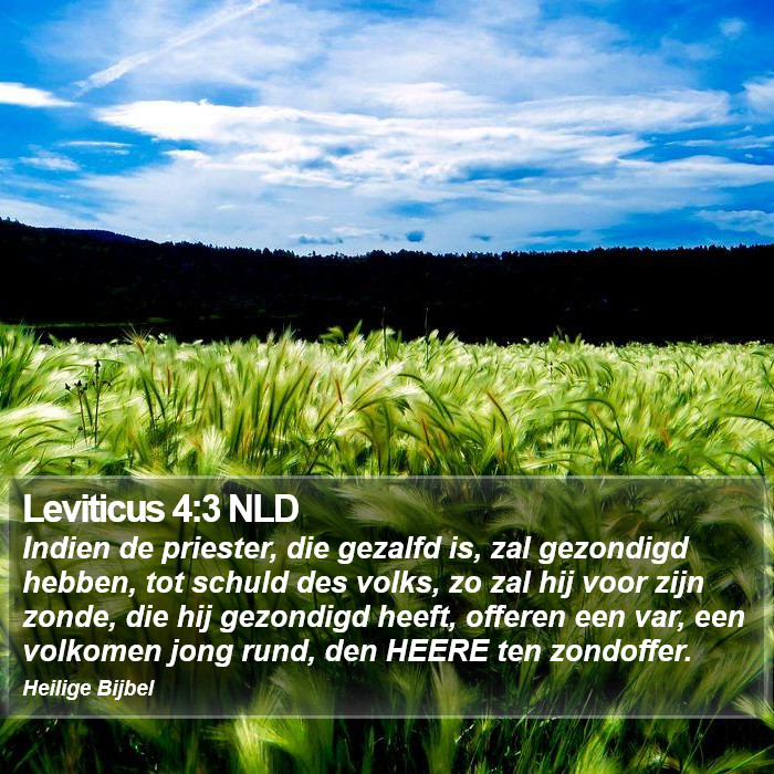 Leviticus 4:3 NLD Bible Study