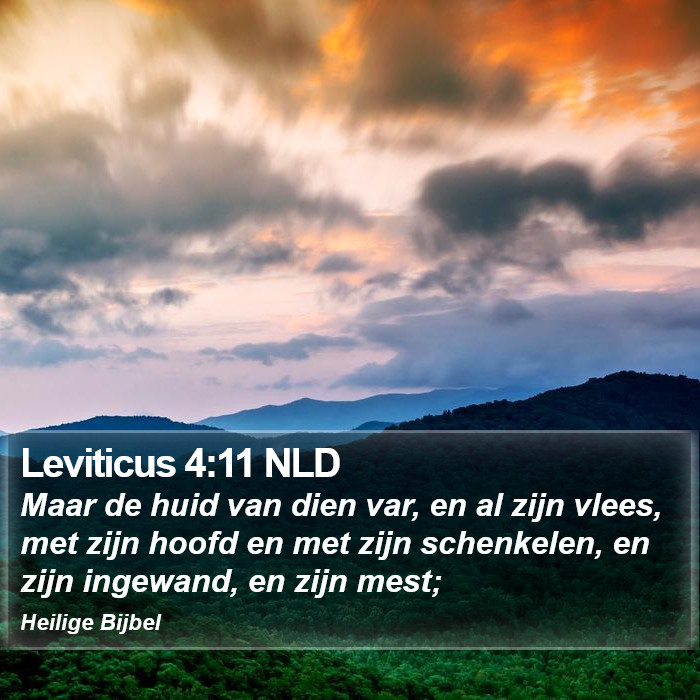 Leviticus 4:11 NLD Bible Study