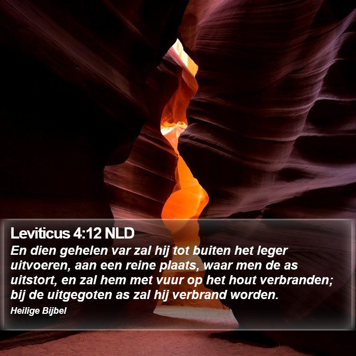 Leviticus 4:12 NLD Bible Study