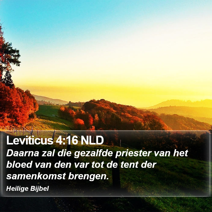 Leviticus 4:16 NLD Bible Study