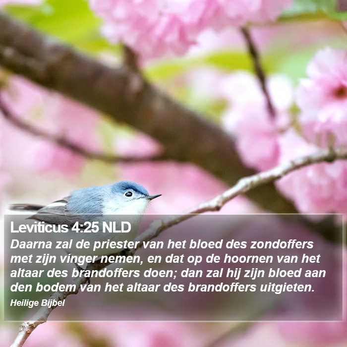 Leviticus 4:25 NLD Bible Study