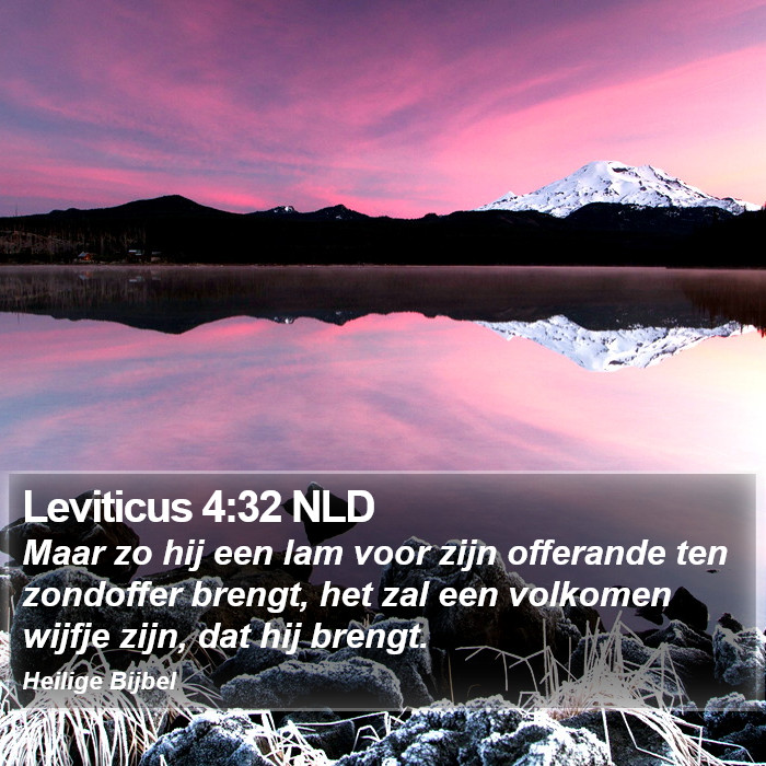 Leviticus 4:32 NLD Bible Study