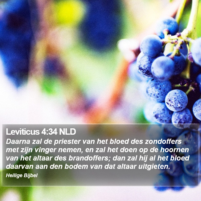 Leviticus 4:34 NLD Bible Study