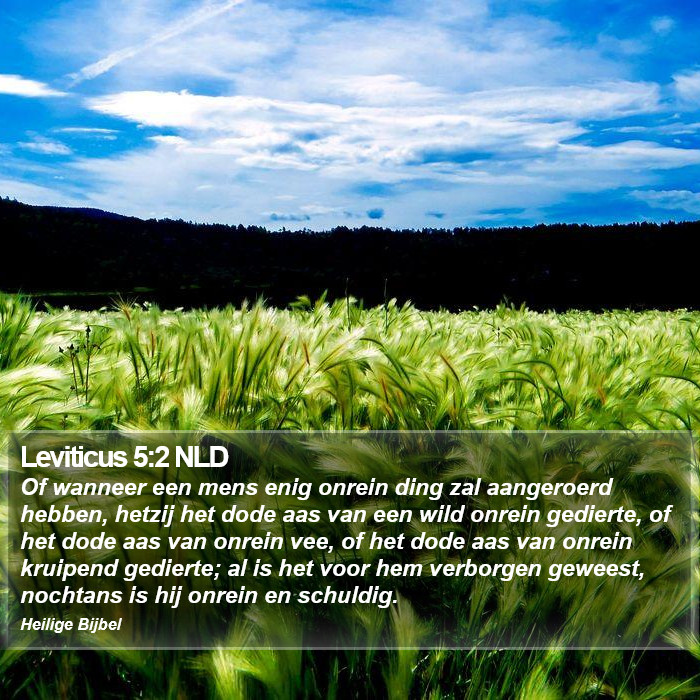 Leviticus 5:2 NLD Bible Study