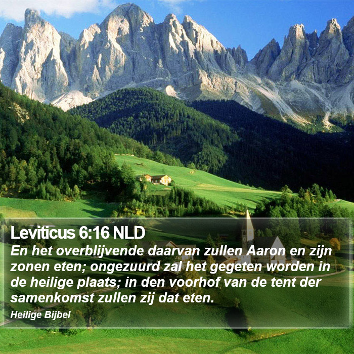 Leviticus 6:16 NLD Bible Study