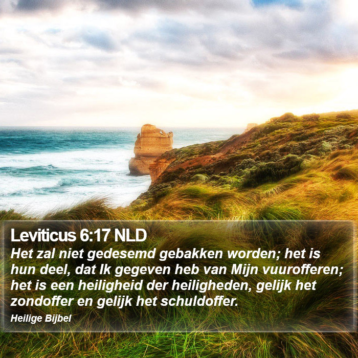 Leviticus 6:17 NLD Bible Study