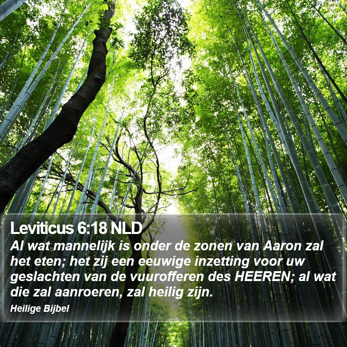 Leviticus 6:18 NLD Bible Study